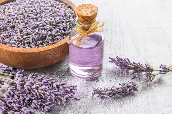 beneficios-de-la-lavanda-para-la-ansiedad.PNG