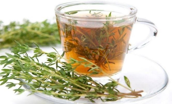 té de tomillo infusión